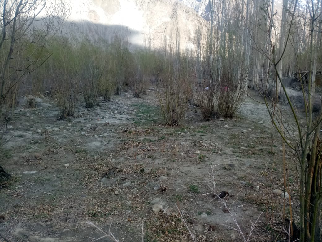 Hunza Shishkat Lake Land for Sale